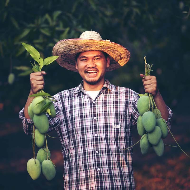 Friendly agriculture employee with the fruits in his hands
