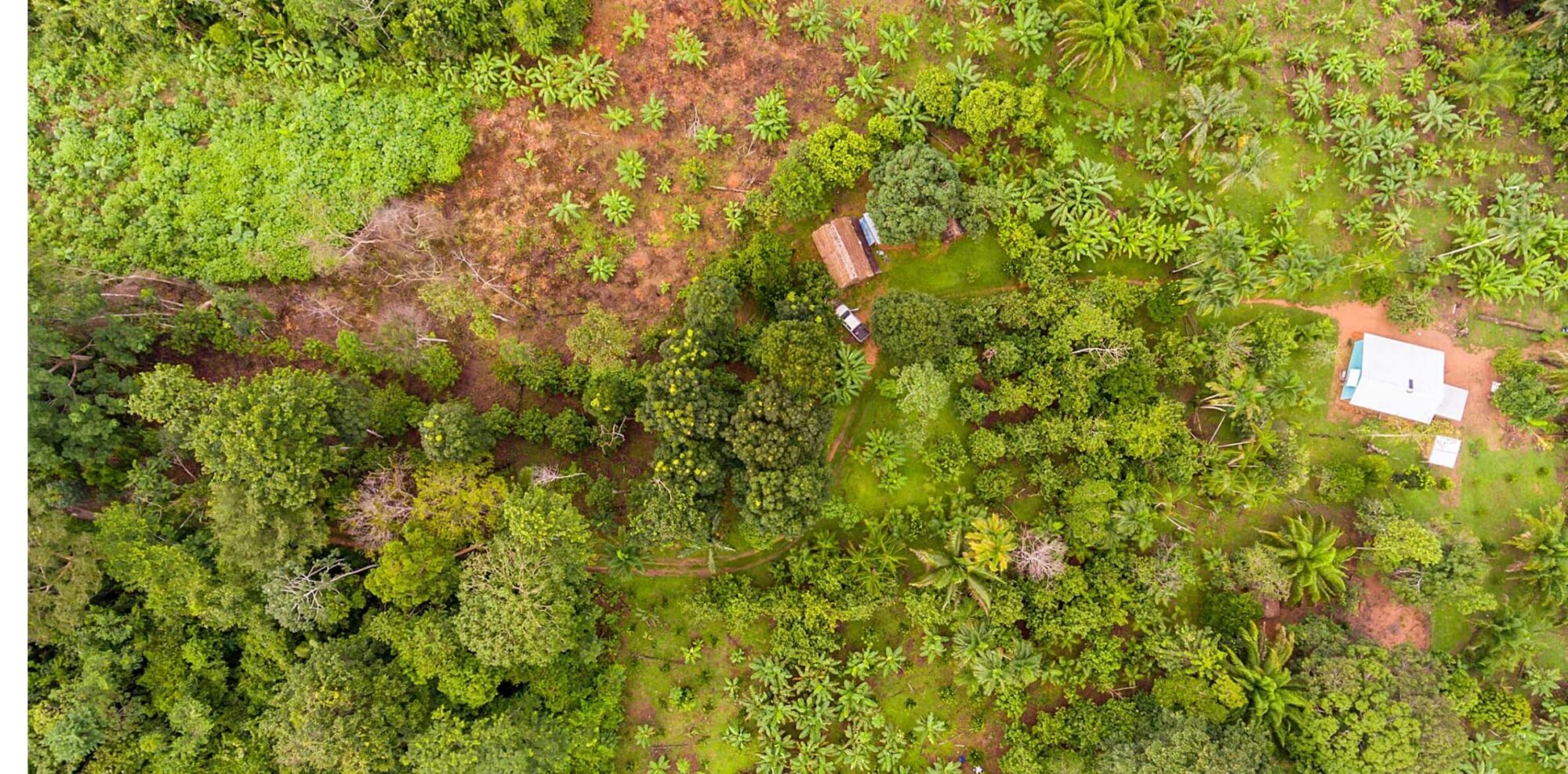 Madagascar nature aerial view